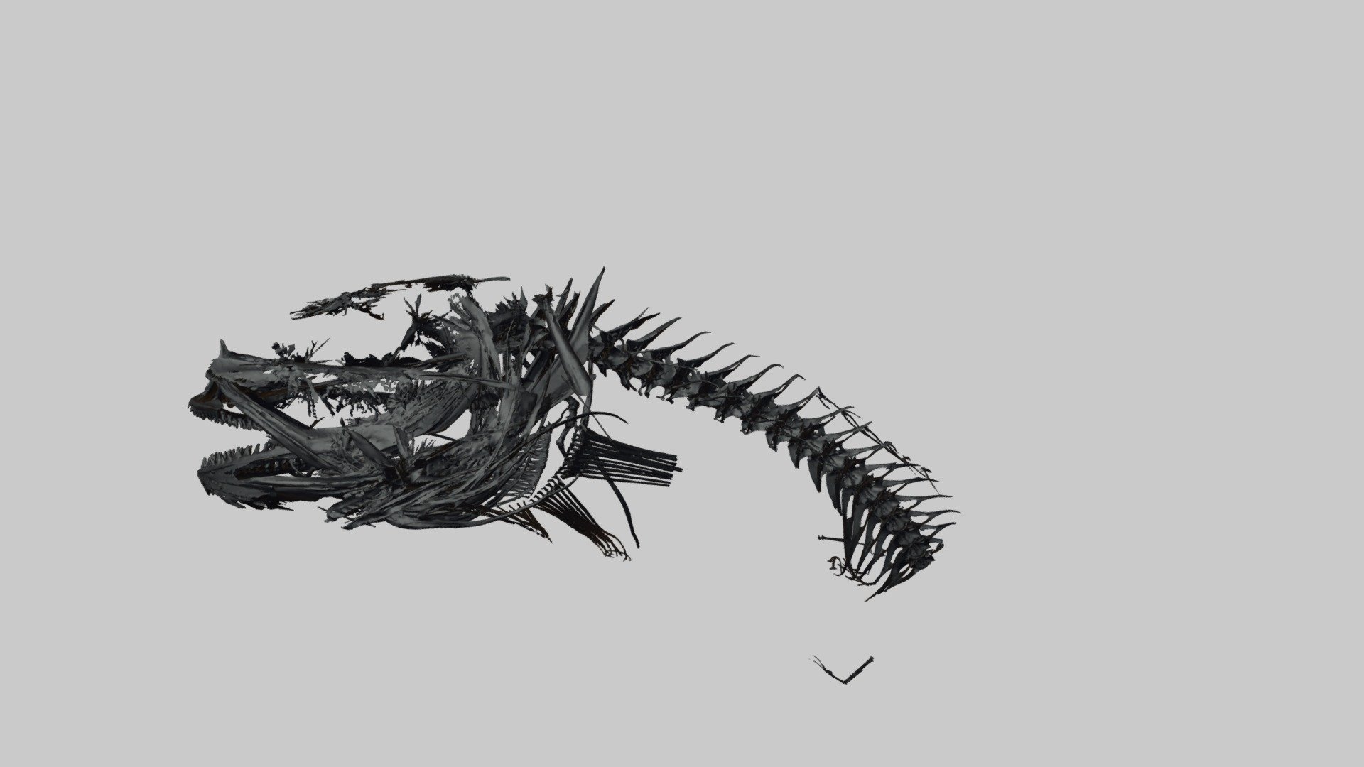 Mariana Snailfish