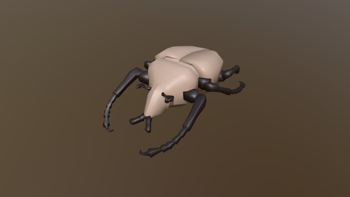 Goliath beetle 3D Model