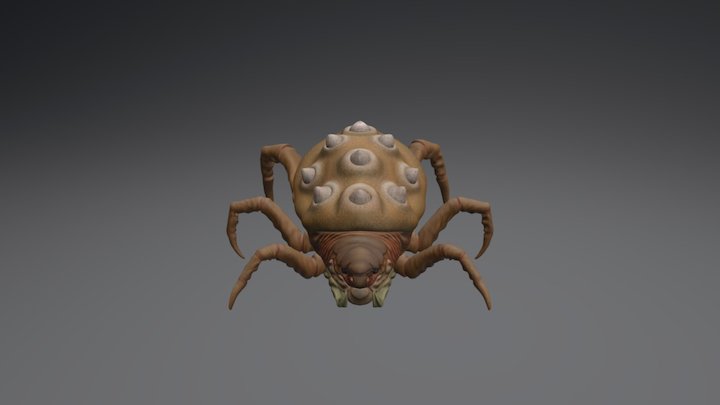 Insect Demo 3D Model