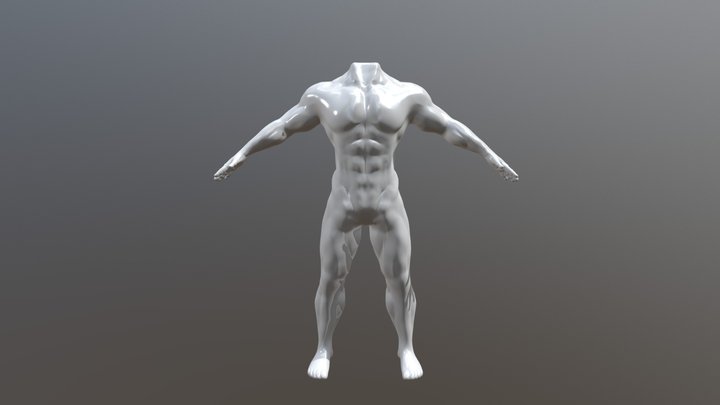 Torso by Luis Felipe Garavito 3D Model