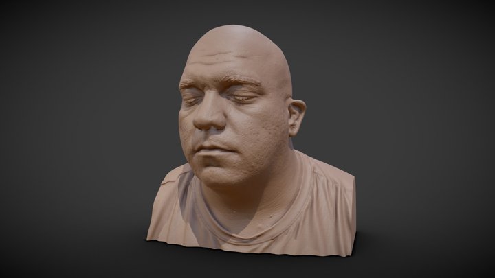 Facial 3d Scan 3D Model