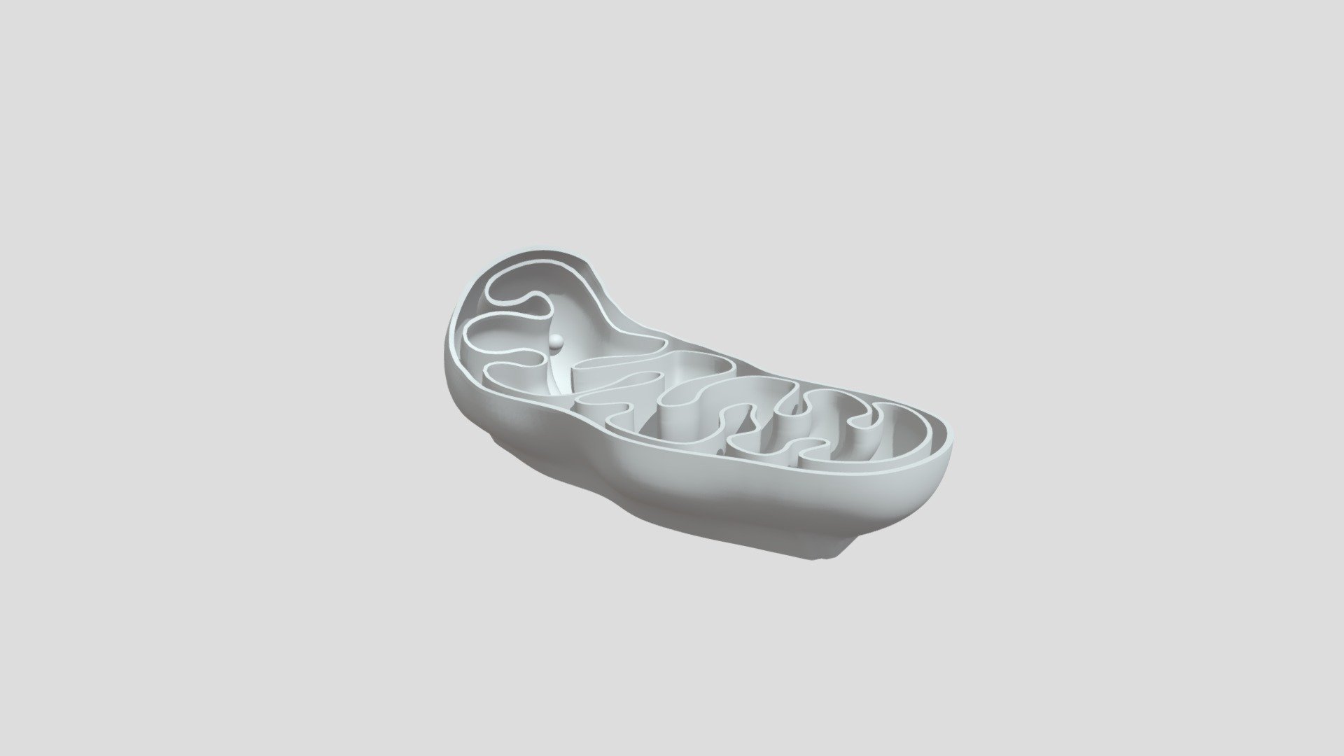 Mitochondria V