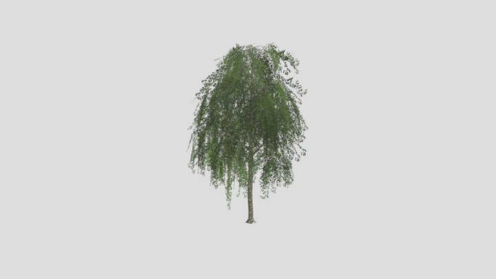 LowPoly Birch Tree Pack  6 GameReady Models 3D Model