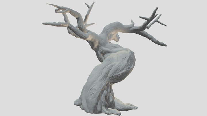 Olivie 3D Model