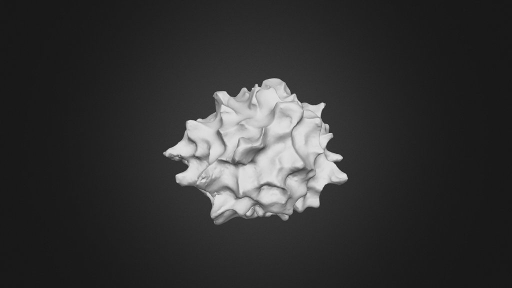 20251124_Hailstone_11