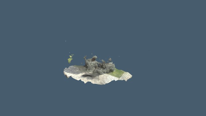 Foreign Plant 3D Model