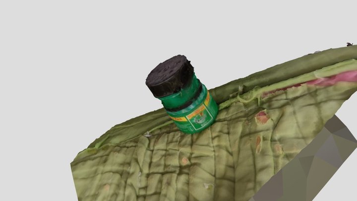 Zandu Bam 3D Model