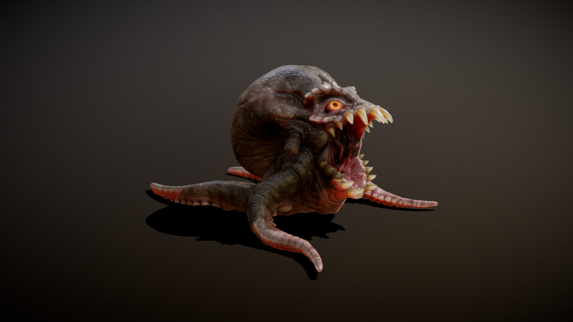 3D model TETRAPUSS ANIMATIONS - This is a 3D model of the TETRAPUSS ANIMATIONS. The 3D model is about a small reptile with a large mouth.