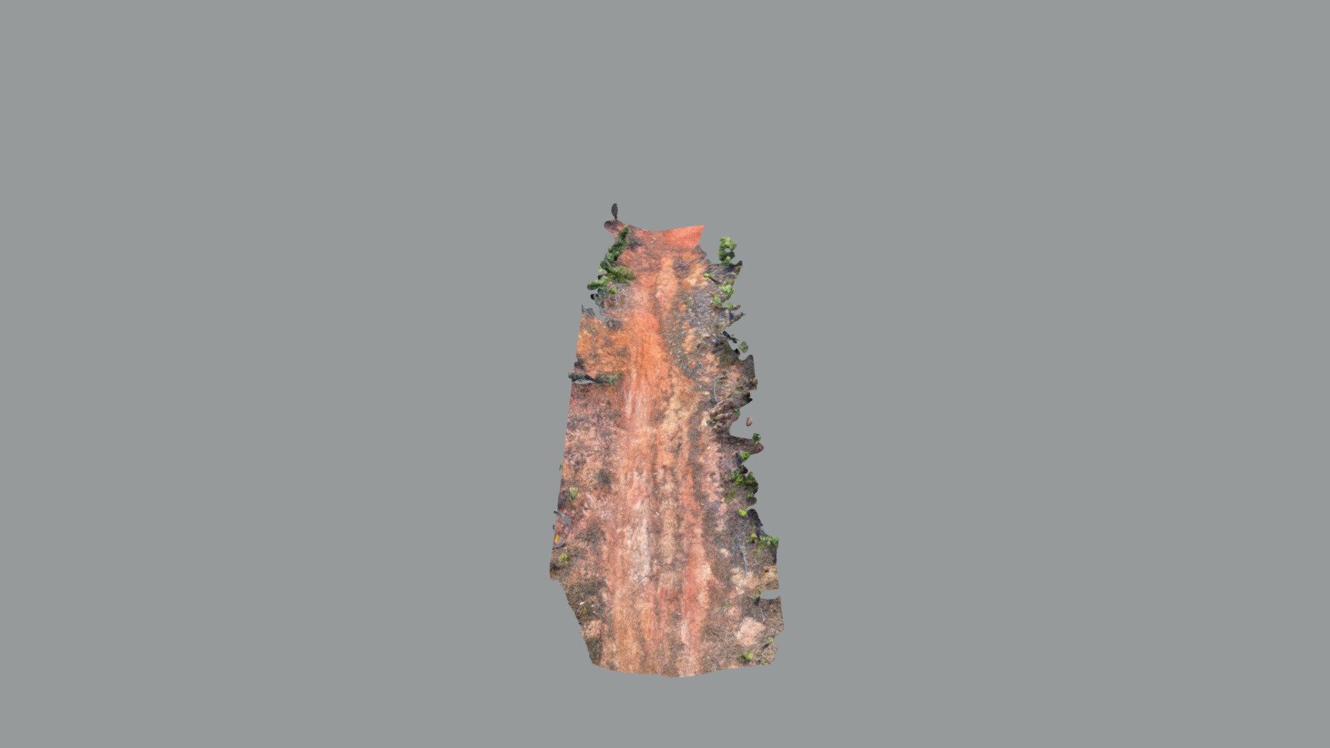 Mountain bike track