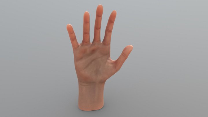 Hand texturing 3D Model