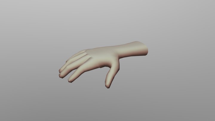 Hand base mesh 3D Model