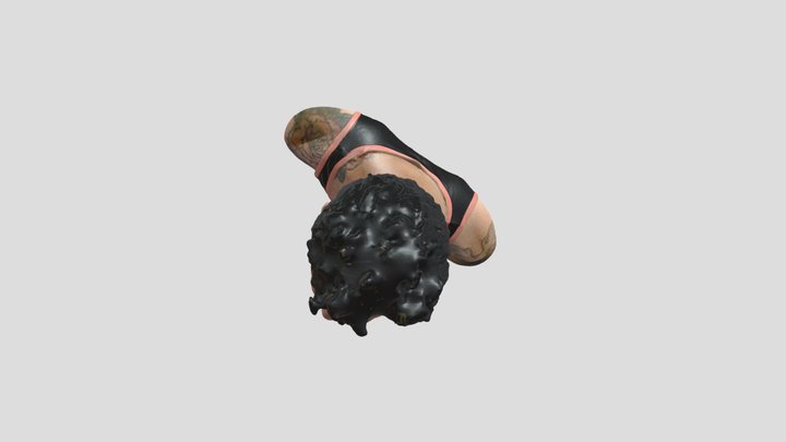 NM SCAN 3D Model