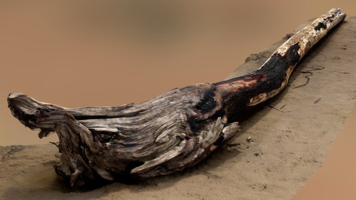 Driftwood