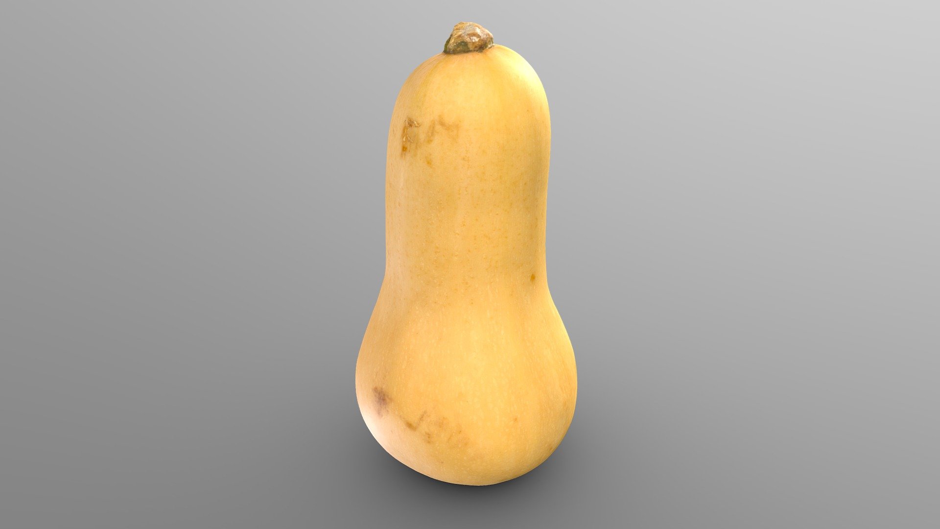 Butternut Squash (バターナッツかぼちゃ)