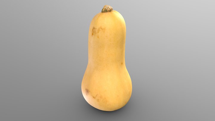 Butternut Squash (バターナッツかぼちゃ) – Modello 3D gratuito STL