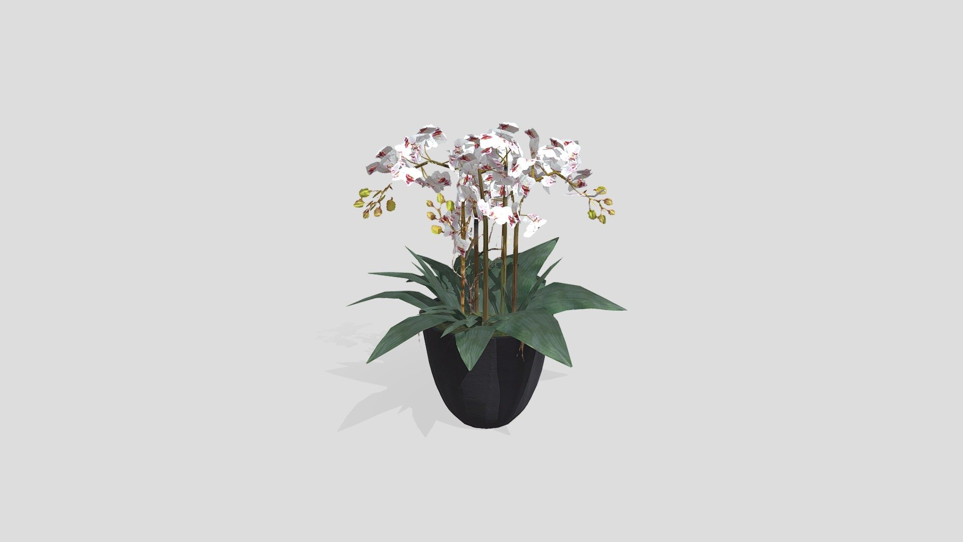 KEJORA-05 Modern Arrangement