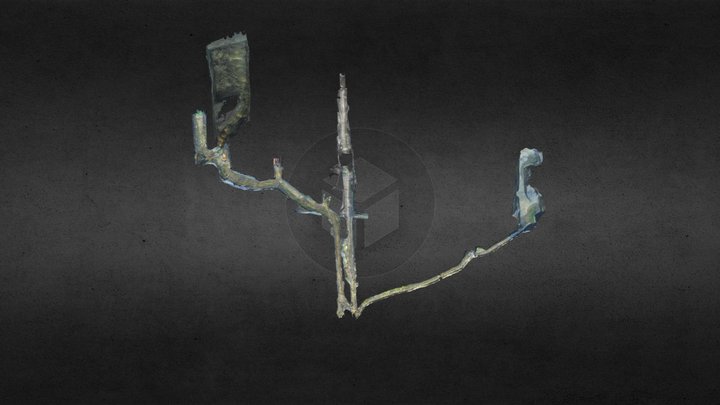 Nuttlar shallow parts - partial 3D model 3D Model