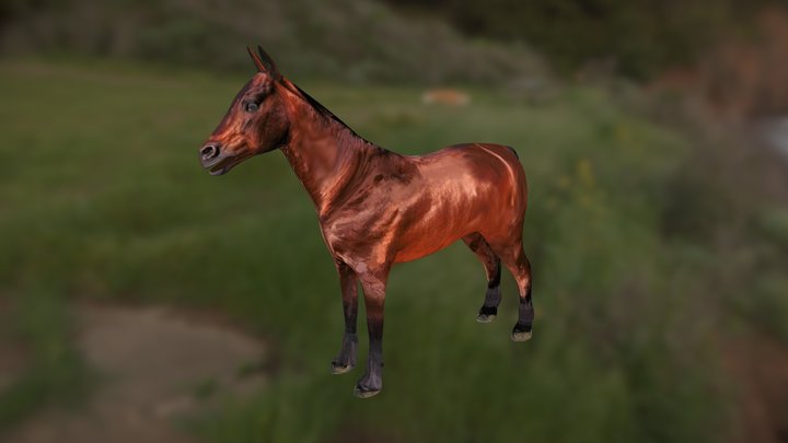 Horse 3D Model (FREE) 3D Model