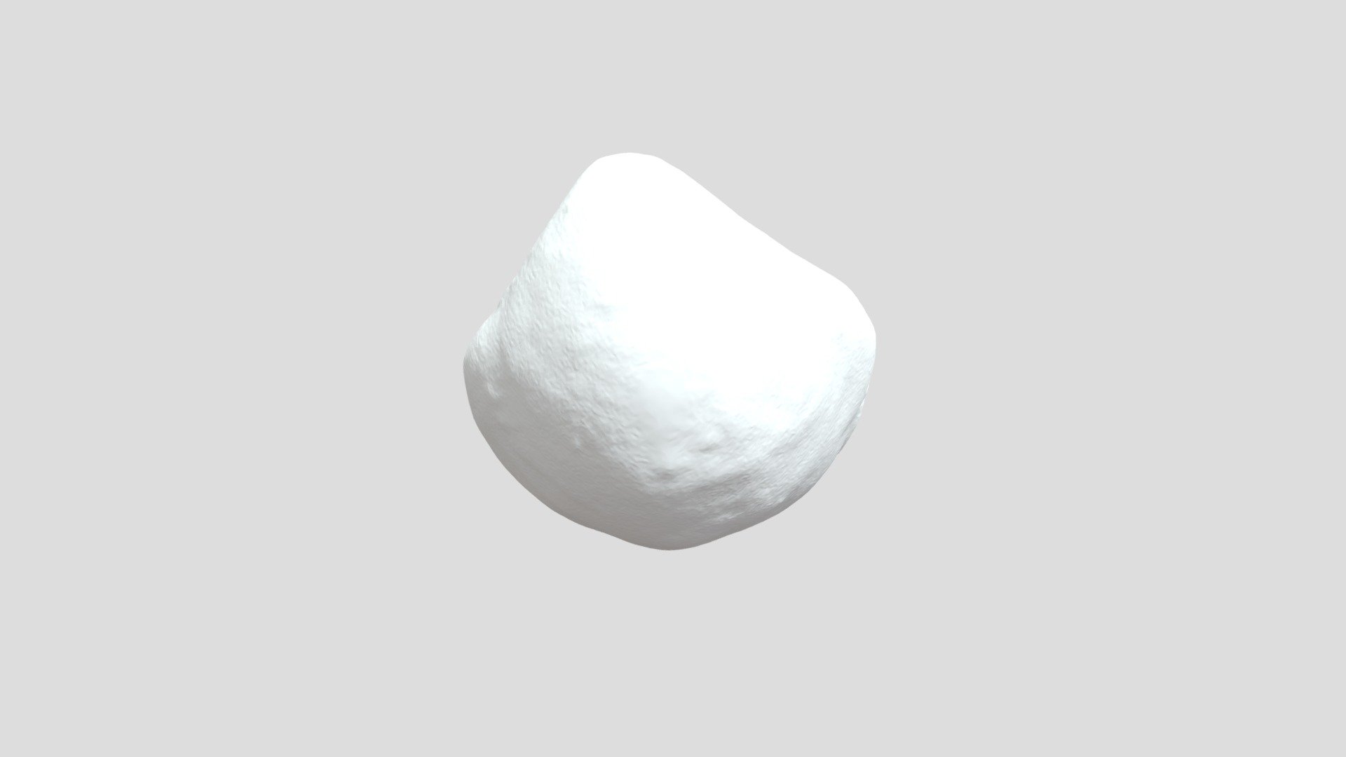 Terebratule
