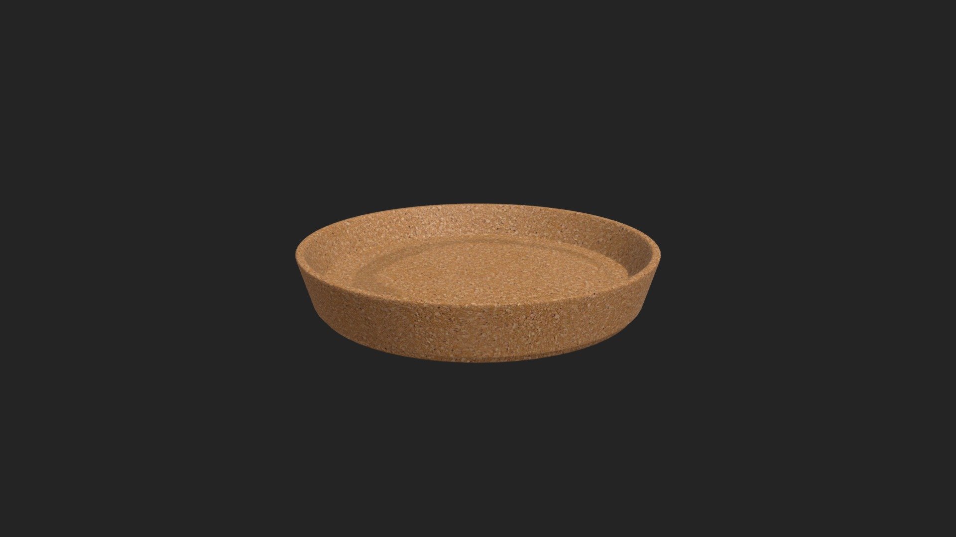 Cork Coaster