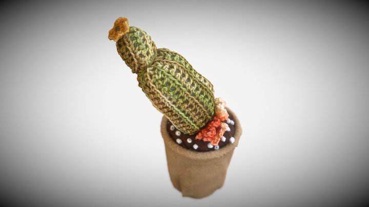 Handmade Decorative Crochet Cactus 2 3D Model
