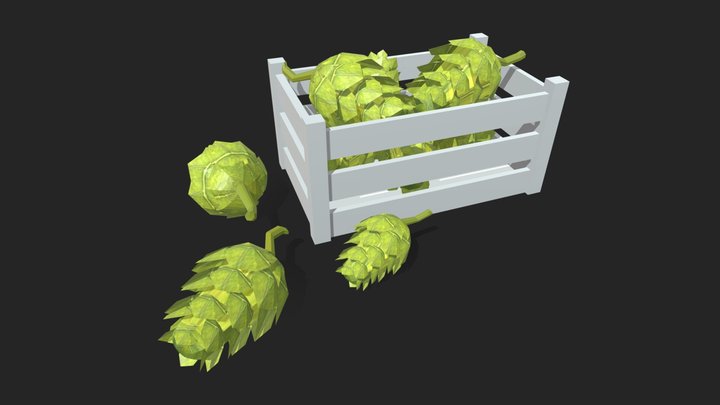 Hops cones for brewing beer