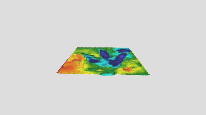 Queensland Dinosaur footprint (Oakey) 3D Model