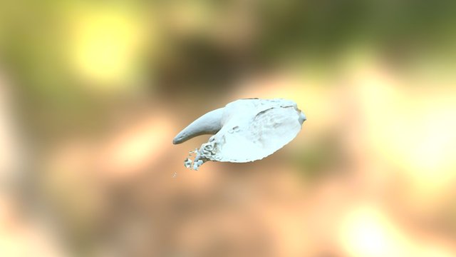 f18 F LT 3D Model