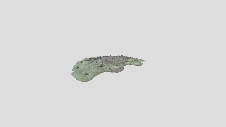 San Pedro Shipwreck - 2026