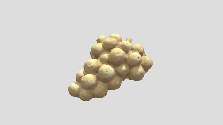 Stucchi frammentari - Motivi vegetali 3D Model