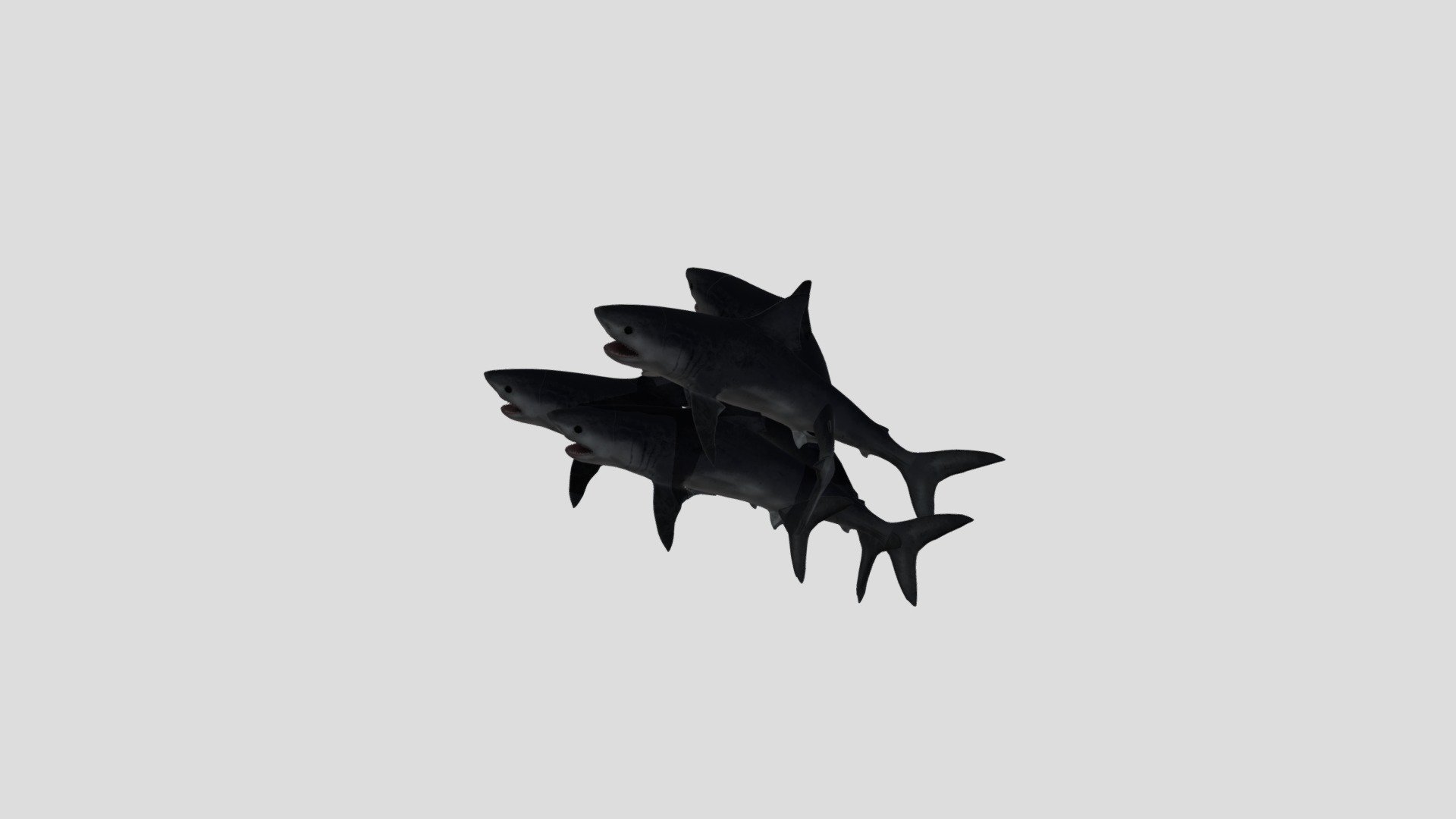 Shark Chaos