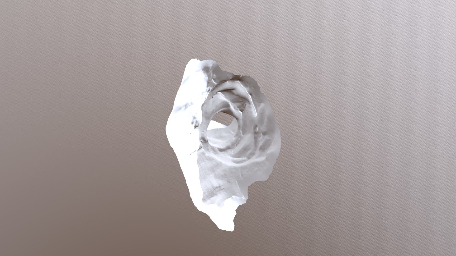 Model