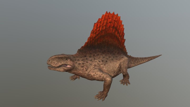 Dimetrodon – Free 3D Model STL
