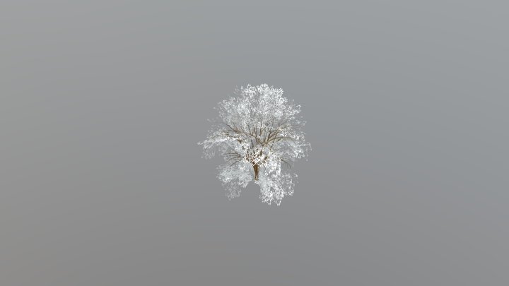 Shrub 3D Model