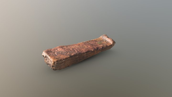Proto-Villanovan wood 3D Model