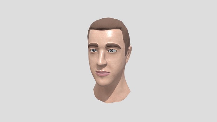Head 3D Model