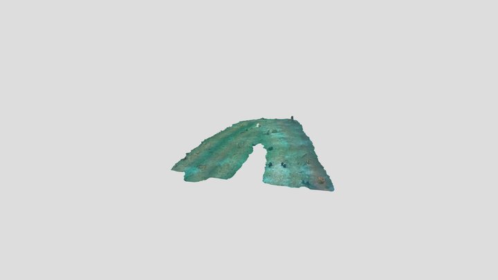 Lake Phoenix Debris Field 3D Model