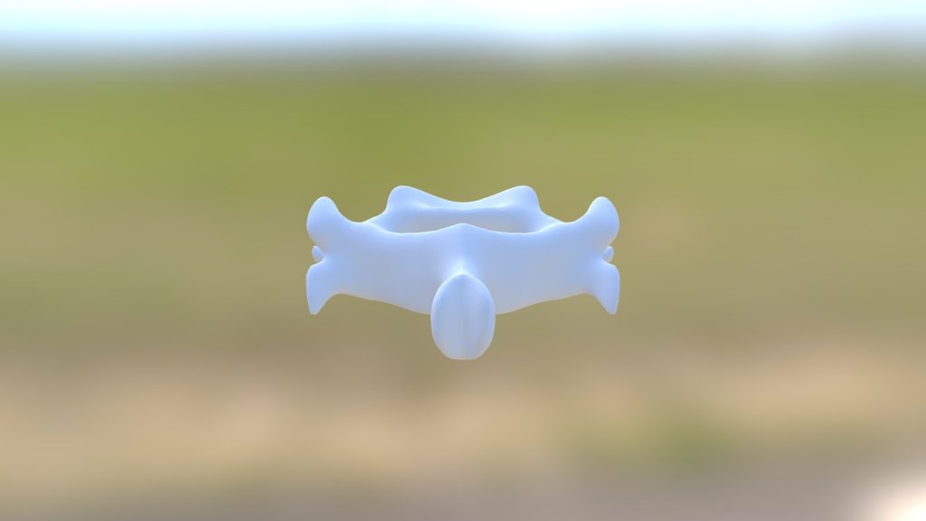 Cervical Vertebrae