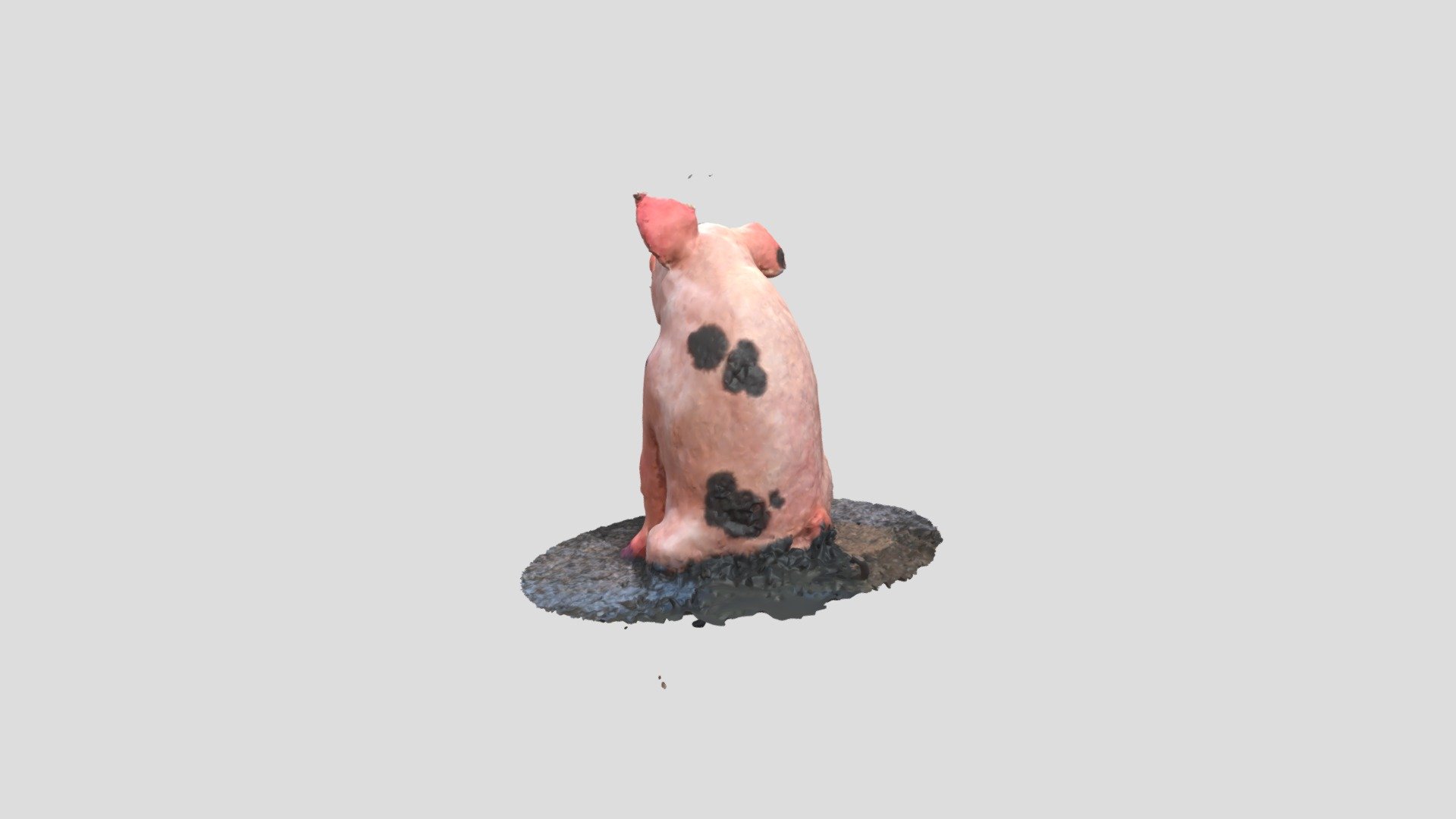New Model
