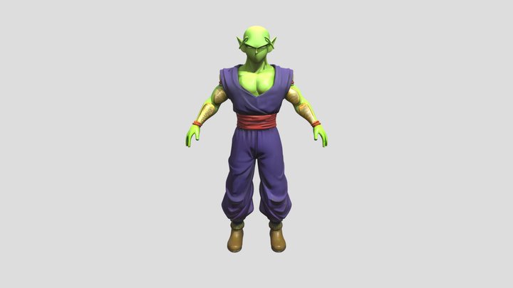 picalo 3D Model