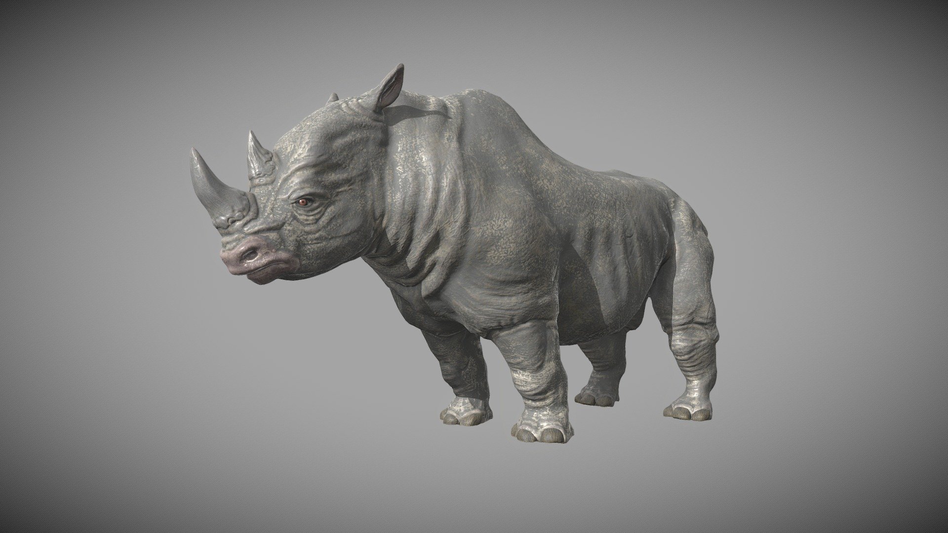 Rhino 3D Model By Sycev v3d art 8a677dd Sketchfab