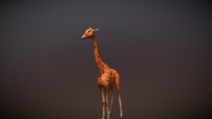 Giraffe 3D Model