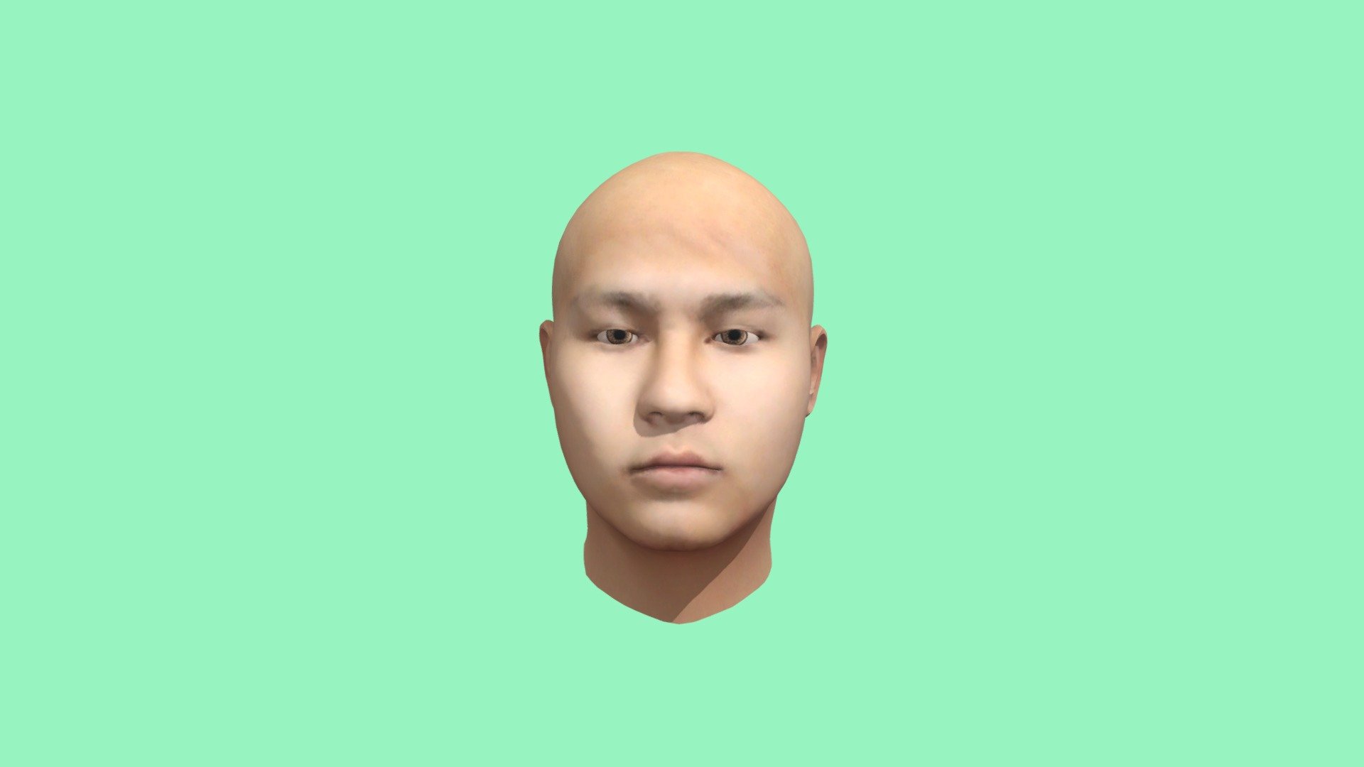 634230028 Head Model - 3D model by 634230028 [8a6d92e] - Sketchfab