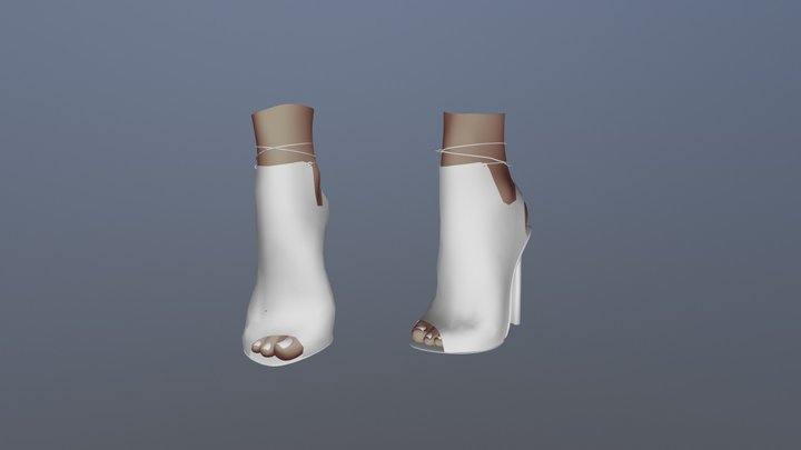 Shoes test 3D Model