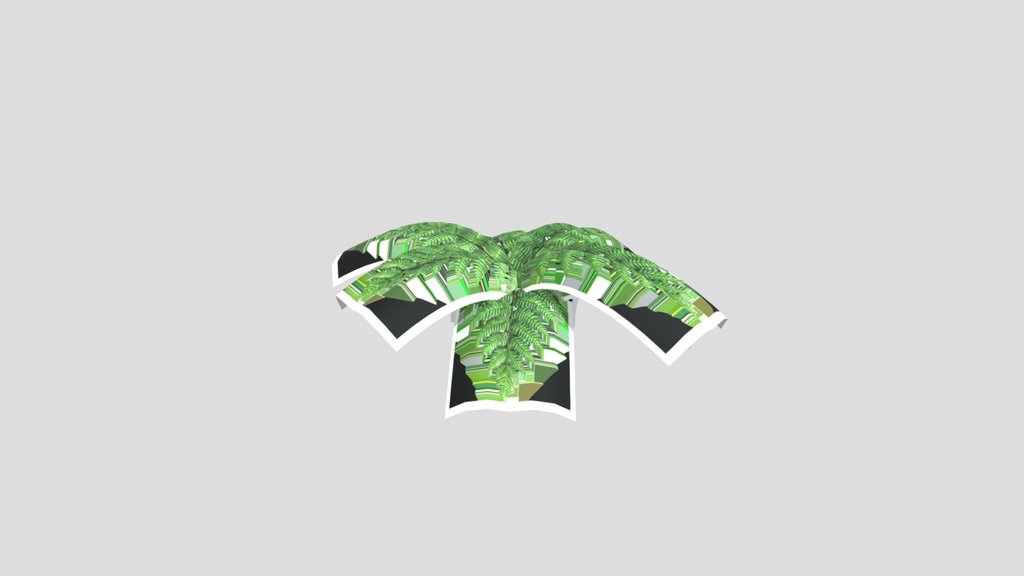 Green Fern