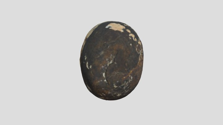 Pisapapeles Marino 3D Model