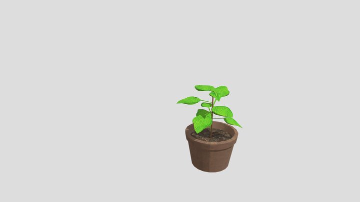 plant 3D Model