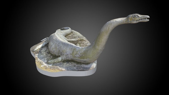 6 ‘Plesiosaurus’ hawkinsii 3D Model