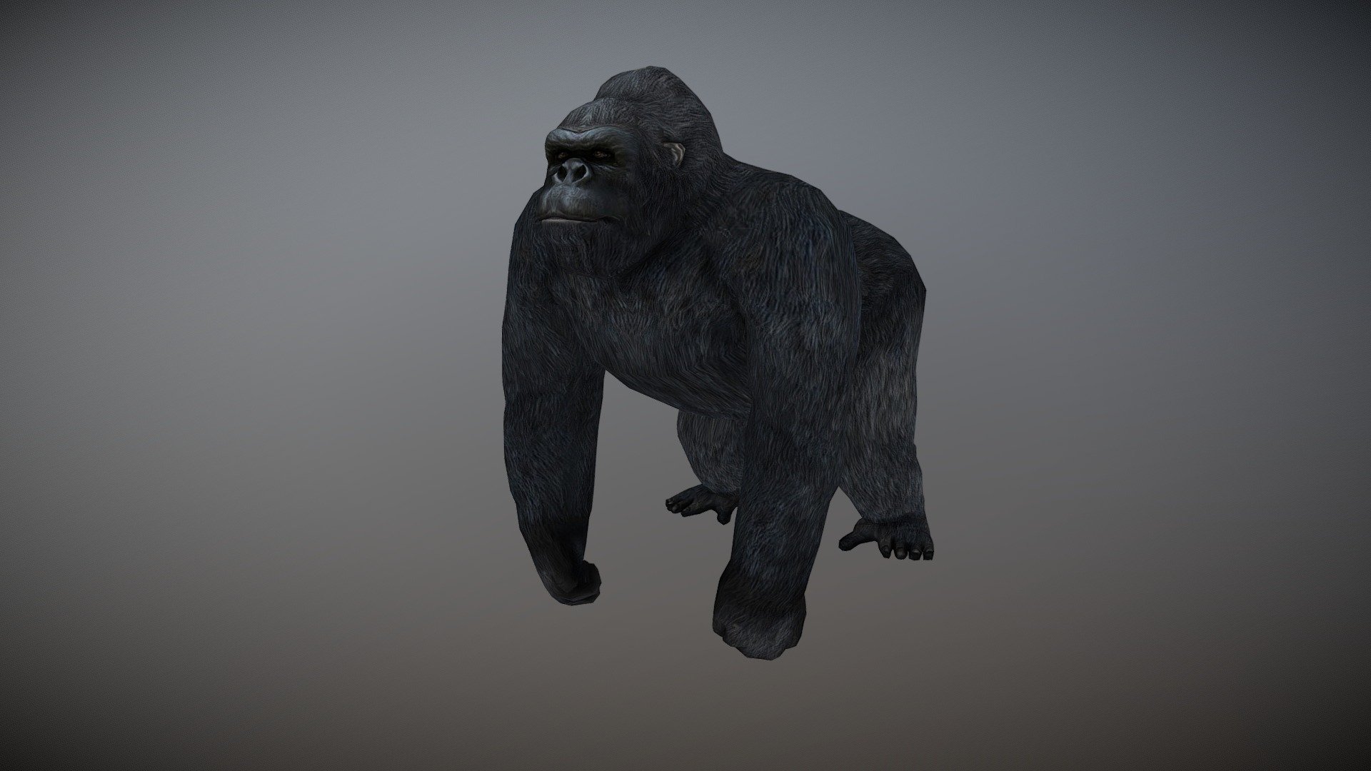 Gorilla Animated Buy Royalty Free 3d Model By Bilal Creation Production Bilalcreation