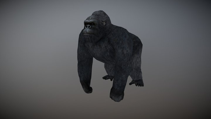 Gorilla Animated 3D Model